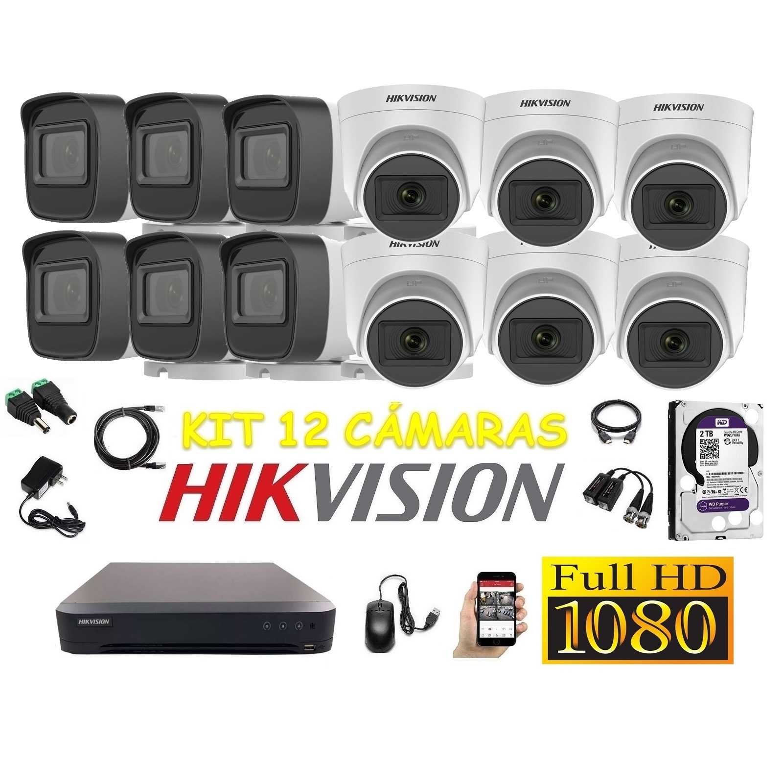 Camara de Seguridad Ip Poe Full HD 1080P Kit 4 Disco 2TB WD Purpura